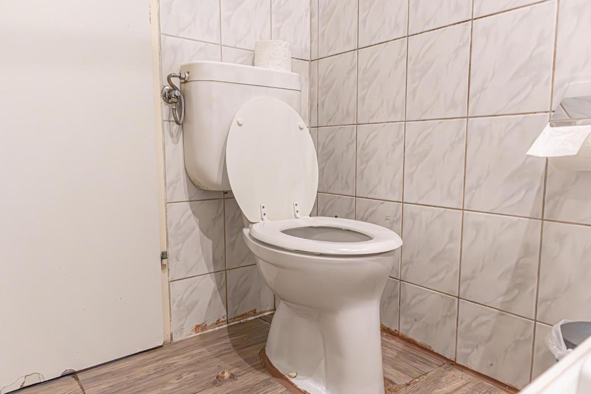 Apartment Budget Well Connected To The Whole *